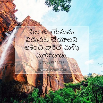 Picture 07 - లూకా 23:20 TELIRV - పిలాతు యేసును - Bible Verse Picture
