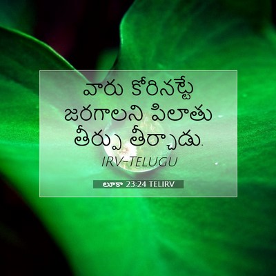Picture 07 - లూకా 23:24 TELIRV - వారు కోరినట్టే - Bible Verse Picture