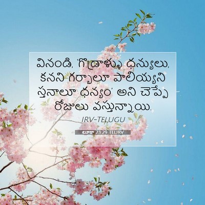 Picture 07 - లూకా 23:29 TELIRV - వినండి, - Bible Verse Picture