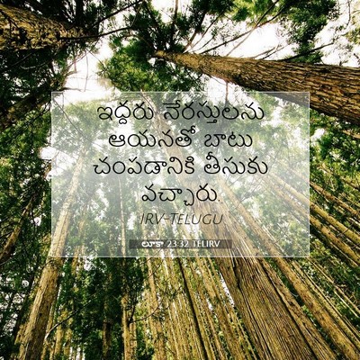 Picture 07 - లూకా 23:32 TELIRV - ఇద్దరు నేరస్తులను - Bible Verse Picture
