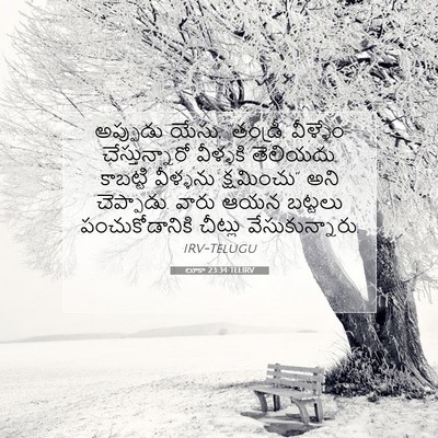 Picture 07 - లూకా 23:34 TELIRV - అప్పుడు యేసు, - Bible Verse Picture
