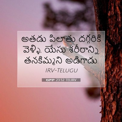 Picture 07 - లూకా 23:52 TELIRV - అతడు పిలాతు - Bible Verse Picture
