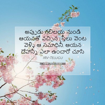 Picture 07 - లూకా 23:55 TELIRV - అప్పుడు గలిలయ - Bible Verse Picture