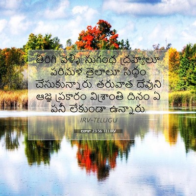 Picture 07 - లూకా 23:56 TELIRV - తిరిగి వెళ్ళి, - Bible Verse Picture