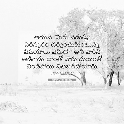 Picture 07 - లూకా 24:17 TELIRV - ఆయన, “మీరు నడుస్తూ - Bible Verse Picture