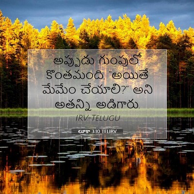 Picture 07 - లూకా 3:10 TELIRV - అప్పుడు గుంపులో - Bible Verse Picture