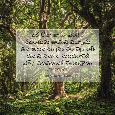 Picture 07 - లూకా 4:16 TELIRV - ఒక రోజు తాను - Bible Verse Picture
