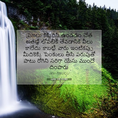 Picture 07 - లూకా 5:19 TELIRV - ప్రజలు కిక్కిరిసి - Bible Verse Picture