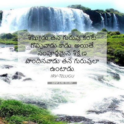 Picture 07 - లూకా 6:40 TELIRV - శిష్యుడు తన - Bible Verse Picture