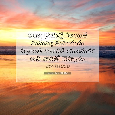 Picture 07 - లూకా 6:5 TELIRV - ఇంకా ప్రభువు, - Bible Verse Picture
