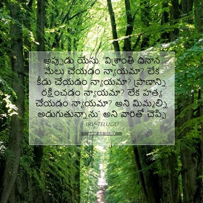 Picture 07 - లూకా 6:9 TELIRV - అప్పుడు యేసు, - Bible Verse Picture