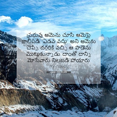 Picture 07 - లూకా 7:13 TELIRV - ప్రభువు ఆమెను - Bible Verse Picture