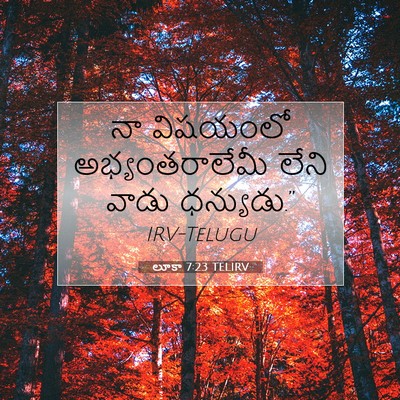 Picture 07 - లూకా 7:23 TELIRV - నా విషయంలో - Bible Verse Picture