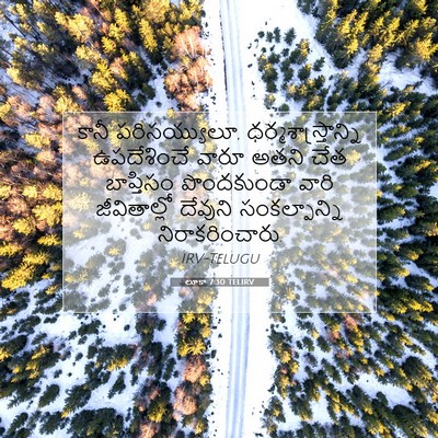 Picture 07 - లూకా 7:30 TELIRV - కానీ పరిసయ్యులూ, - Bible Verse Picture