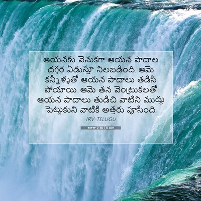 Picture 07 - లూకా 7:38 TELIRV - ఆయనకు వెనుకగా ఆయన - Bible Verse Picture