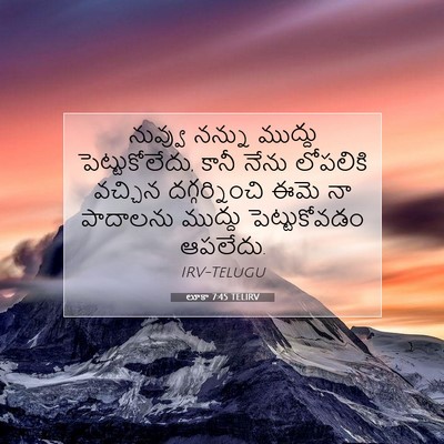 Picture 07 - లూకా 7:45 TELIRV - నువ్వు నన్ను - Bible Verse Picture