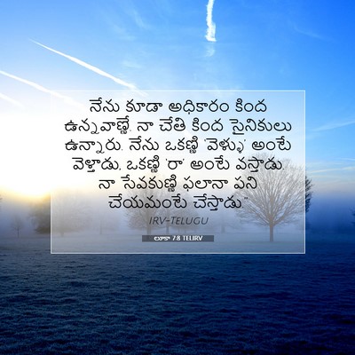 Picture 07 - లూకా 7:8 TELIRV - నేను కూడా అధికారం - Bible Verse Picture