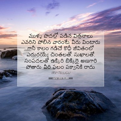 Picture 07 - లూకా 8:14 TELIRV - ముళ్ళ పొదల్లో - Bible Verse Picture