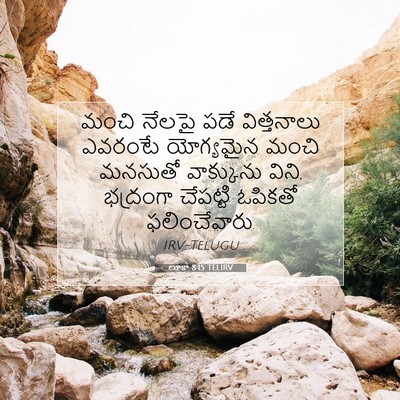 Picture 07 - లూకా 8:15 TELIRV - మంచి నేలపై పడే - Bible Verse Picture
