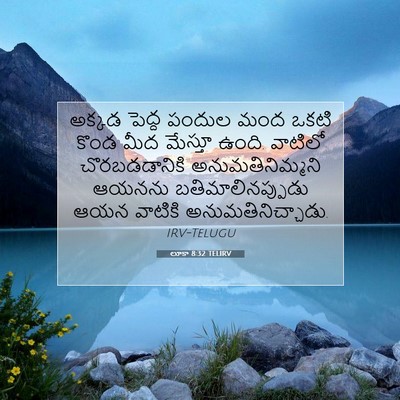 Picture 07 - లూకా 8:32 TELIRV - అక్కడ పెద్ద పందుల - Bible Verse Picture