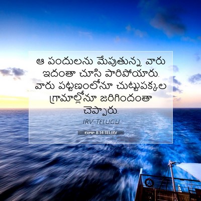 Picture 07 - లూకా 8:34 TELIRV - ఆ పందులను - Bible Verse Picture