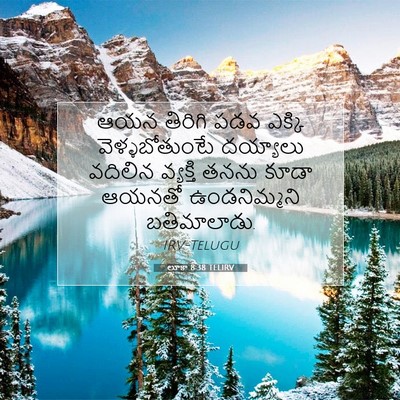 Picture 07 - లూకా 8:38 TELIRV - ఆయన తిరిగి పడవ - Bible Verse Picture
