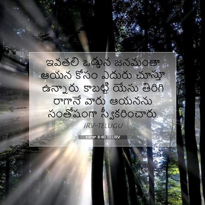 Picture 07 - లూకా 8:40 TELIRV - ఇవతలి ఒడ్డున - Bible Verse Picture