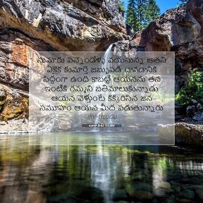 Picture 07 - లూకా 8:42 TELIRV - సుమారు - Bible Verse Picture