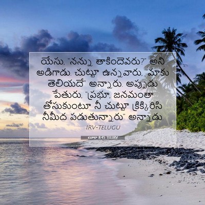 Picture 07 - లూకా 8:45 TELIRV - యేసు, “నన్ను - Bible Verse Picture