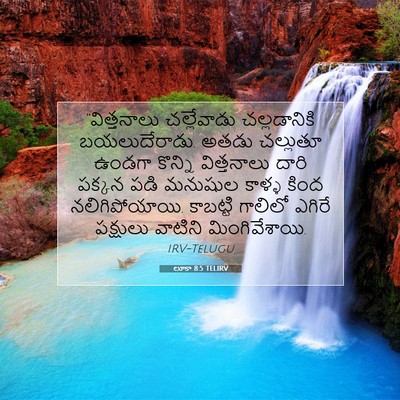 Picture 07 - లూకా 8:5 TELIRV - “విత్తనాలు - Bible Verse Picture
