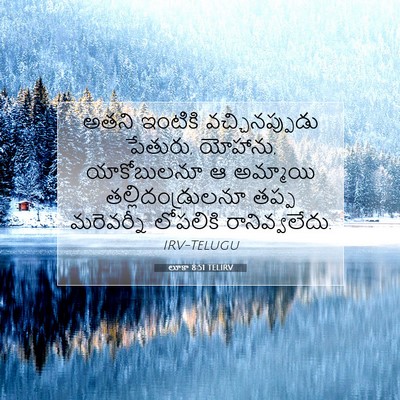 Picture 07 - లూకా 8:51 TELIRV - అతని ఇంటికి - Bible Verse Picture
