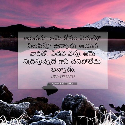 Picture 07 - లూకా 8:52 TELIRV - అందరూ ఆమె కోసం - Bible Verse Picture