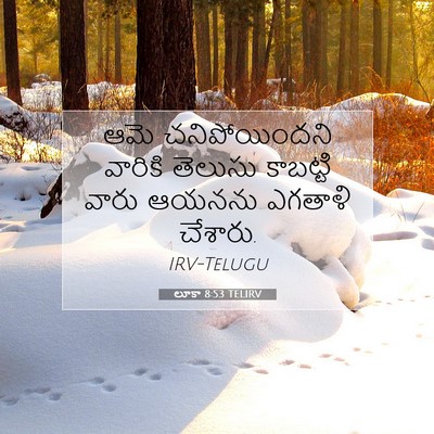 Picture 07 - లూకా 8:53 TELIRV - ఆమె చనిపోయిందని - Bible Verse Picture