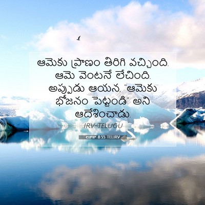 Picture 07 - లూకా 8:55 TELIRV - ఆమెకు ప్రాణం - Bible Verse Picture