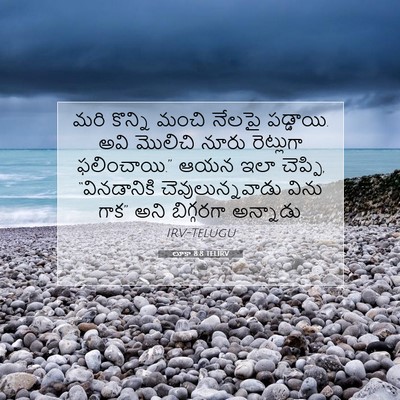 Picture 07 - లూకా 8:8 TELIRV - మరి కొన్ని మంచి - Bible Verse Picture