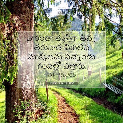 Picture 07 - లూకా 9:17 TELIRV - వారంతా తృప్తిగా - Bible Verse Picture