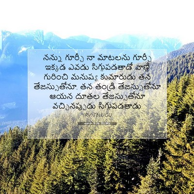 Picture 07 - లూకా 9:26 TELIRV - నన్ను గూర్చీ నా - Bible Verse Picture