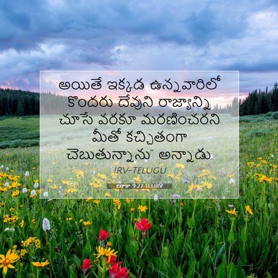 Picture 07 - లూకా 9:27 TELIRV - అయితే ఇక్కడ - Bible Verse Picture
