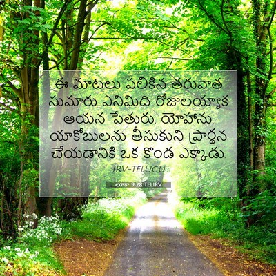 Picture 07 - లూకా 9:28 TELIRV - ఈ మాటలు పలికిన - Bible Verse Picture