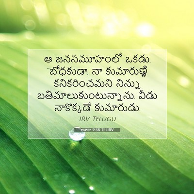 Picture 07 - లూకా 9:38 TELIRV - ఆ జనసమూహంలో ఒకడు, - Bible Verse Picture