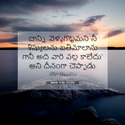 Picture 07 - లూకా 9:40 TELIRV - దాన్ని - Bible Verse Picture