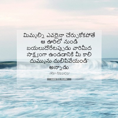 Picture 07 - లూకా 9:5 TELIRV - మిమ్మల్ని ఎవరైనా - Bible Verse Picture