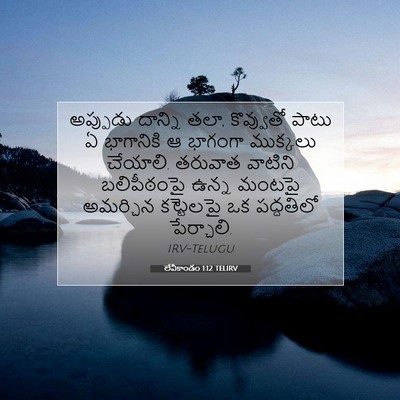 Picture 07 - లేవీకాండం 1:12 TELIRV - అప్పుడు దాన్ని - Bible Verse Picture