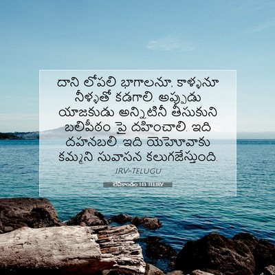Picture 07 - లేవీకాండం 1:13 TELIRV - దాని లోపలి - Bible Verse Picture