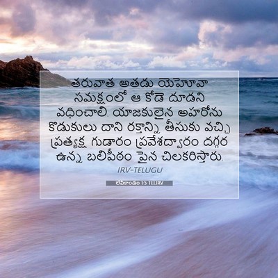 Picture 07 - లేవీకాండం 1:5 TELIRV - తరువాత అతడు - Bible Verse Picture