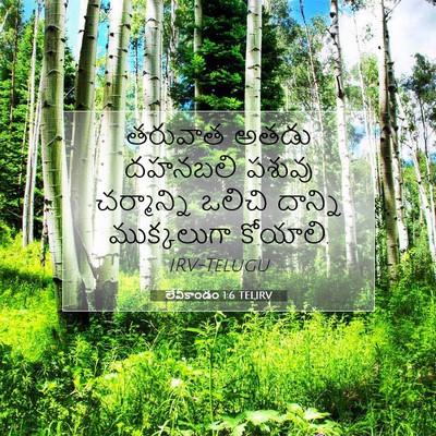 Picture 07 - లేవీకాండం 1:6 TELIRV - తరువాత అతడు - Bible Verse Picture