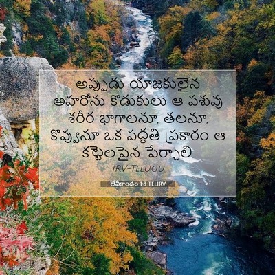 Picture 07 - లేవీకాండం 1:8 TELIRV - అప్పుడు యాజకులైన - Bible Verse Picture