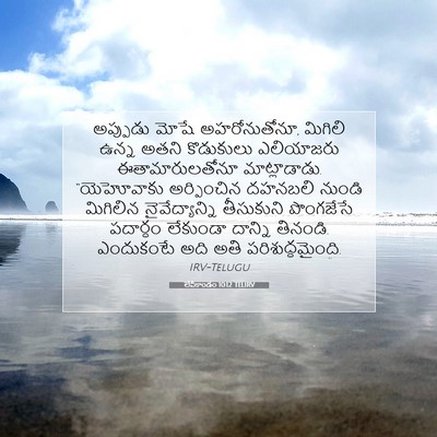 Picture 07 - లేవీకాండం 10:12 TELIRV - అప్పుడు మోషే - Bible Verse Picture