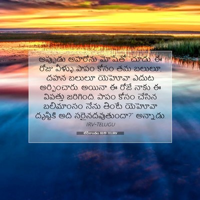 Picture 07 - లేవీకాండం 10:19 TELIRV - అప్పుడు అహరోను - Bible Verse Picture