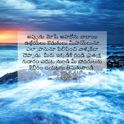 Picture 07 - లేవీకాండం 10:4 TELIRV - అప్పుడు మోషే - Bible Verse Picture